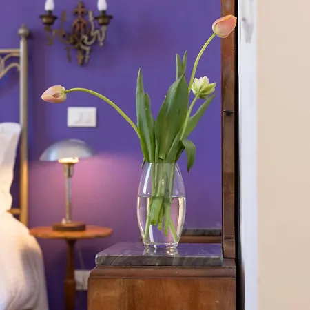 900 - 招待所 利沃诺